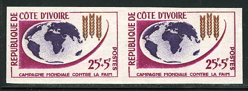 Ivory_Coast_1963_Yvert_209-Scott_B16_multicolor