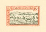 Cameroun_1927_Yvert_134-Scott_orange_+_grey_typo_detail