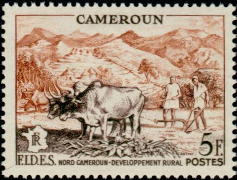 Cameroun_1956_Yvert_300-Scott_326