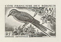 Somali_Coast_1967_Yvert_328a-Scott_309_unadopted_bird_instead_of_Afars_black_b_AP_detail